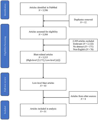 Potential Health and Performance Effects of High-Level and Low-Level Blast: A Scoping Review of Two Decades of Research